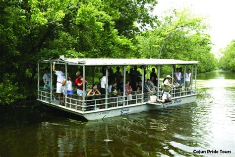 Cajun pride swamp tours - Immerse yourself in the rich culture and natural splendor of New Orleans’ mystifying swamps and wetlands on a 2-hour New Orleans swamp tour and wetlands adventure. Relax in the luxurious interior of a New Orleans swamp tour boat as you cruise past cultural highlights like a Cajun cemetery, an Indian burial mound and a traditional fishing village. Scour the …